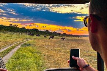 Zambezi Game Drive