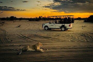 Chobe Day Trip from Victoria Falls