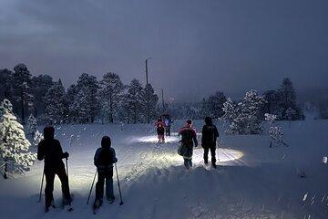 Snowshoe Expedition with Local Guides in Artic Terrain