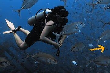 PADI Advanced Open Water Diver Course in Unawatuna