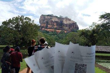 Exclusive 8 Day Heritage Nature and Beaches Journey in Sri Lanka