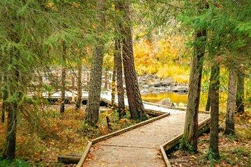 Vaatunkiköngäs Trail Arctic Circle Forest Hike