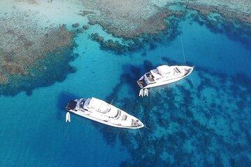 Coral Garden Sea Trip & Two Dive with Transfer – Marsa Alam