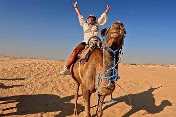 8-Day Splendors of TUNISIA Tour from Tunis