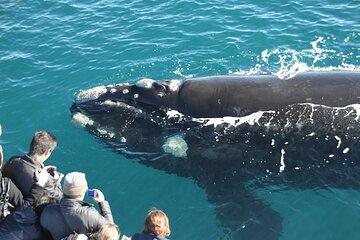2 Day Perth to Busselton and Margaret River Tour