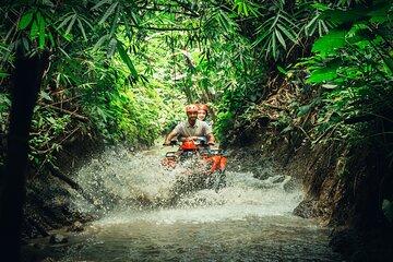 Bali ATV Quad Bike with Ubud Day Tour All Inclusive