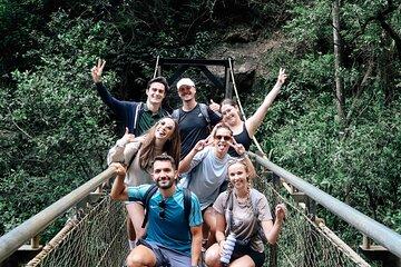Super 7 Waterfalls and Natural Bridge Day Tour at Springbrook