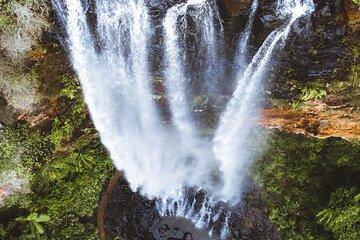 Brisbane: Springbrook 7 Waterfalls and Natural Bridge Day Tour