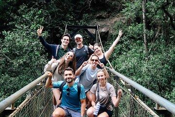 Super 7 Waterfalls and Natural Bridge Day Tour at Springbrook