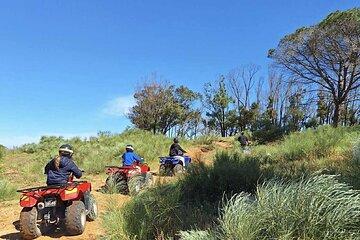 Hammamet Quad Tour 90 minutes with hotel pickup