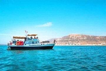Boat Trip with Lunch in Agadir City
