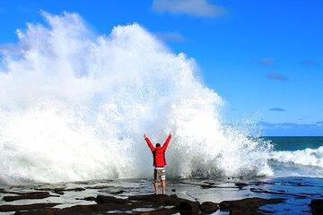 Dunedin to Te Anau via Catlins & Invercargill Small Group Tour