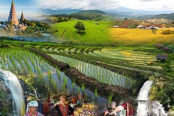 Pa Bong Piang Rice Terraces and Doi Inthanon Seasonal Day Tour