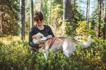 Husky Farm Visit in Rovaniemi