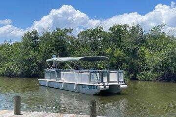 Dolphin Eco Cruise Nature Adventure in Cocoa Beach