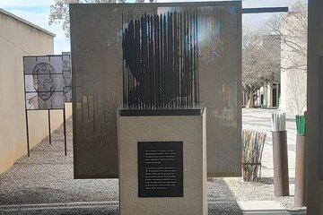 Soweto and Apartheid museum Tour