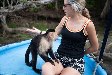 Private Trip: Monkey Island, Jungle Hike & Gatun Lake Expedition