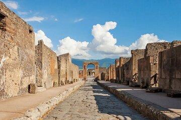 The Archaeological Site of Pompei the Official Entry Ticket