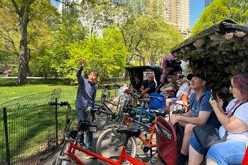 Central Park Private Guided Tours