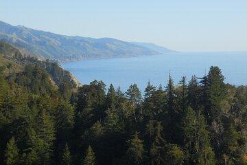 Big Sur Sightseeing Tour