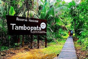 3 Days Tambopata National Reserve Wildlife Adventure