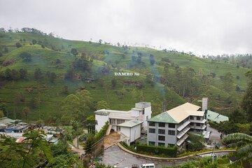 Private Day Tour to Nuwara Eliya Pickup from Kandy