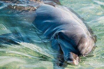 Outback Coast 4 Day Tour