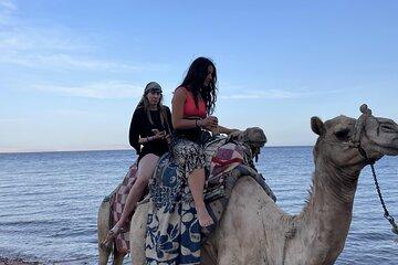 4 Day Dahab, St.Catherine Mount Adventure Beaches, Bedouin Party