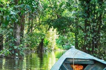 4Day Amazon Rainforest Tour in Tambopata National Reserve