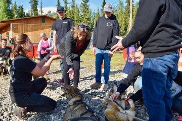Fairbanks Sled Dog Adventure with Campfire & S'mores