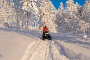 Tromso Snowmobile - Explore Arctic Wilderness by Day
