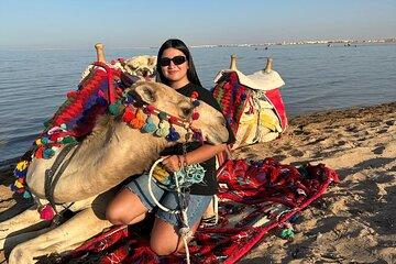 Camel riding Hurghada