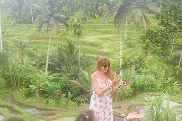 Ubud Discovery Package: Rice Terraces, Temples & Hidden Gems