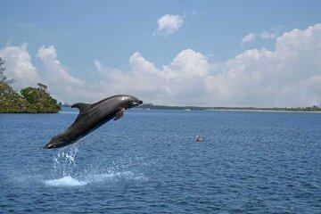 Naples Half-Day Private Eco Tour and Shelling Trip