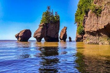 Hopewell Rocks Bay of Fundy Tour