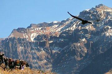 All inclusive Full day tour Colca Canyon: all Meals & Entrances