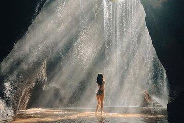 Ubud Private Tour - Waterfalls, Water Temple & Rice Terraces