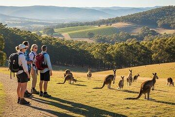 Melbourne wildlife nature hike with Kangaroos and sunset picnic!