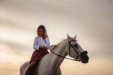 One-Hour Guided Desert Horse Ride with Transfer – Marsa Alam