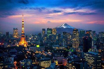 Private Tokyo Tour with Hotel Pickup - English-Speaking Driver
