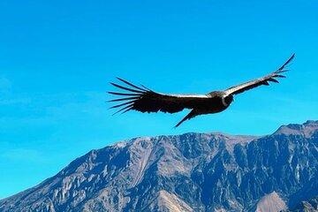 Colca Canyon Full day, all inclusive