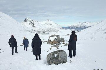 Tromso Free Photography Small Group Fjords Car Tour By (Minivan)