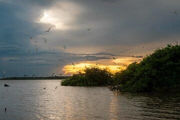 Bolivian Amazon Wildlife Safari Private Tour