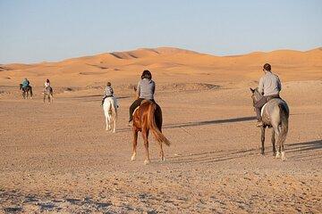 Horse Riding in Merzouga