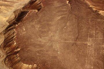 Flight over the Nazca Lines Daytour