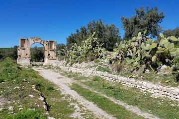 Cultural Day in Dougga and Testour and Medjez El Bab
