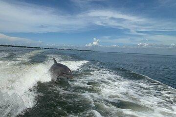 Dolphin cruise in Santa Rosa Beach