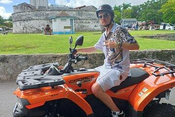 3 Vs Scooter and ATV Rentals