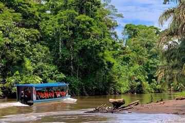 Private Tortuguero Canoe and Jungle Tour from San Jose