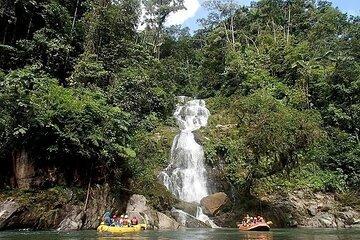 7 Days Amazon Rainforest Expedition in Tena Ecuador